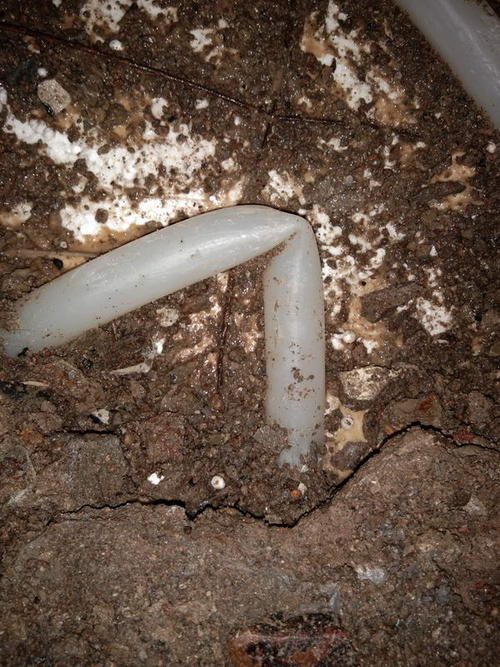 敦煌堵点精准查找